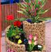 Irene Moos - Facebook