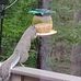 Irene Munson - Facebook