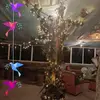 Irene Narvaez - @irene.narvaez1 - TikTok