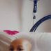 Irene Nathan - Facebook