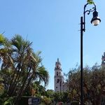 Irene Negrete - @irenesflowers - Instagram