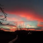Irene Neumann - @neumann4778 - Instagram