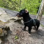 Irene Neumann-Cristmann - Facebook