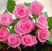 Irene Nevarez - Facebook