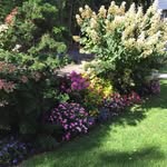Irene Nicholson - @irene.nicholson.798 - Instagram