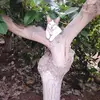 Irene OBREGÓN - @irene.obregon82 - TikTok