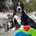 Irene Obregon - Facebook