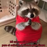 Ireneo Dominguez - @ireneo.dominguez - Instagram