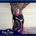Peggy Irene Owen - @peggyiowen1960 - Instagram