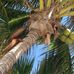 Irene Pacheco - Facebook