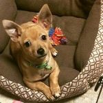 Irene C. Packer - @irenec.packer - Instagram