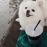 Irene liu - @winpackirene - Instagram