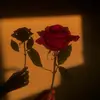 Irene Pakpahan - @irene_pakpahan - TikTok