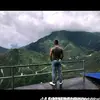Hoàng Văn Hải - @irenepeacock6 - TikTok