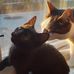 Irene Perry - Facebook