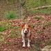 Anessa Irene Pilcher - Facebook