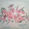 Irene Pizaña Ortiz - @dyky4ydev4s0 - TikTok
