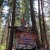 Irene Van Der Poel - Facebook