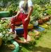 Irene Polanco - Facebook