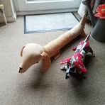 Irene Pratt - Facebook