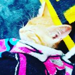 Jolyn irene proctor - @jojo_1234569 - Instagram