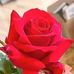 Irene Puente - Facebook