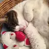 irenerandi - @irenerandi - TikTok