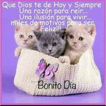 Irene Rendon Acosta - @irenerendonacosta - Instagram