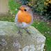 Irene Rice - Facebook