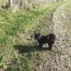 Irene Ritchie - @irene.ritchie - TikTok