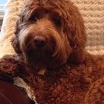 Irene Ritchie - @mausi4830 - Instagram
