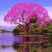 Irene Robles - Facebook