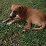 Irene Saavedra Vela - Facebook