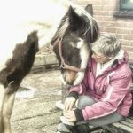 Irene Schippers - @irene_schippers - Instagram