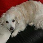 Leo Irene Schipper - @schipperleo - Instagram