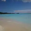 Irene Schmitz130 - @ireneschmitz130 - TikTok