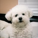 Irene Ron Sheets - @irene_sismk1997_sheets - Instagram