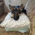 Irene Sheets - Facebook