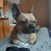 Irene Springer - Facebook