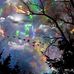 Irene Staples - Facebook