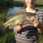 Irene Storey - @fishworldwide - Instagram
