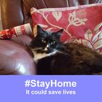 Irene Stuart - Facebook