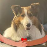 Irene Toy - @metoy59 - Instagram