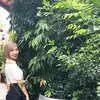 Irene Tran - @q.trann3 - TikTok