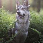 Irene Wehner - Facebook