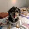 ireneweller - @ireneweller - TikTok