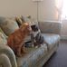 Irene Wheat - Facebook