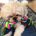 Irene Widmer - Facebook