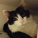 Ir ene - @irenewildburger - Instagram