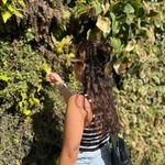 @irene_wildlife - Instagram